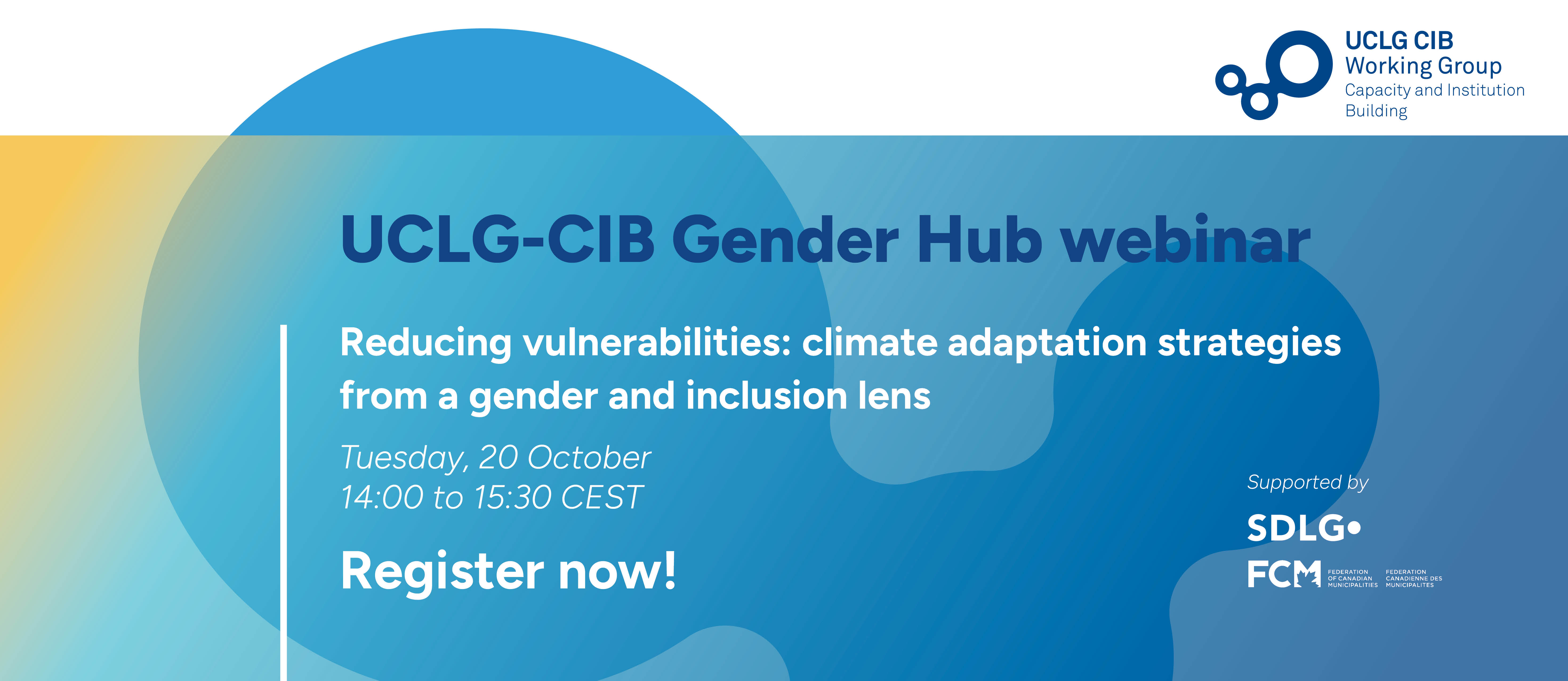 UCLG-CIB Gender Hub Webinar